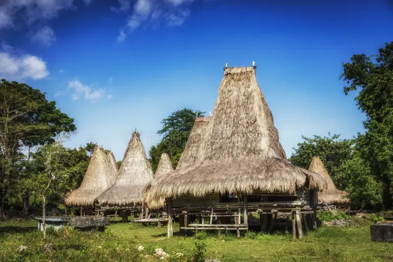 Traditional Sumba village house