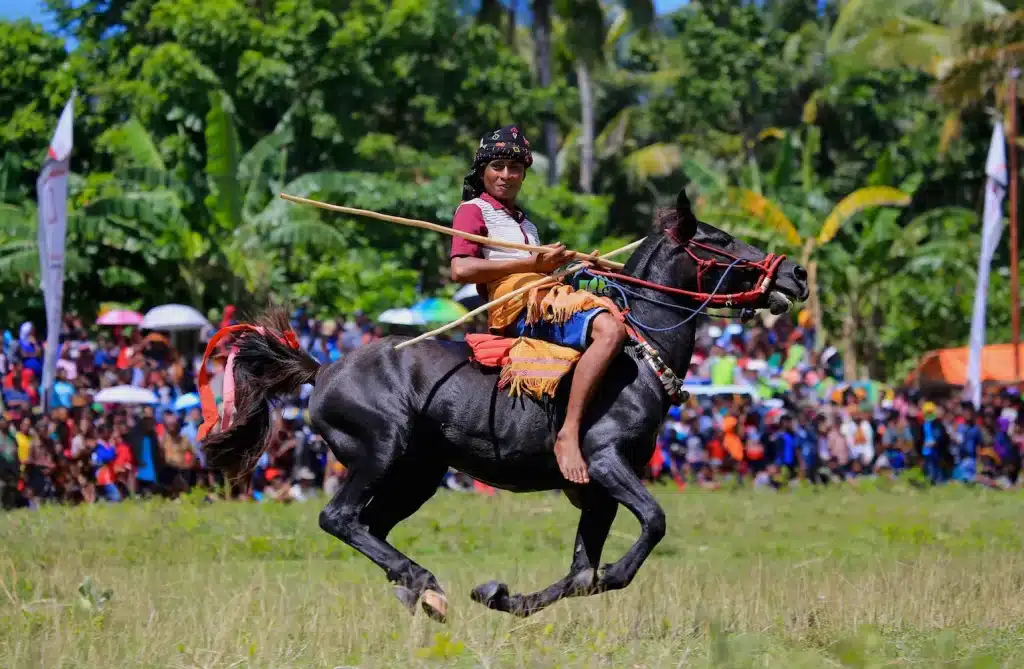 Pasola Festival horseman in traditional attire riding at full speed in Sumba, Indonesia