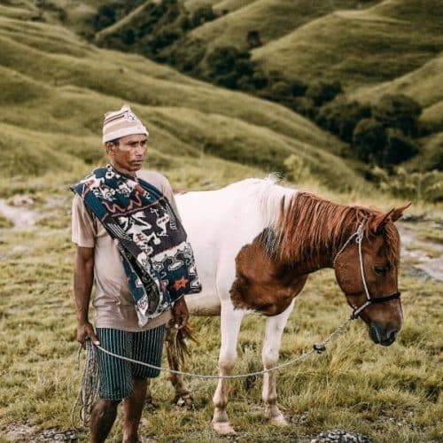 Alt text: Sumbanese man with horse wearing ikat cloth on his shoulder, symbol of wealth and prestige.
