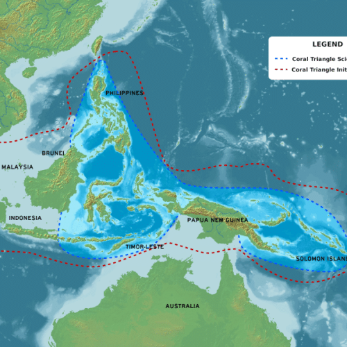 Map of the coral triangle