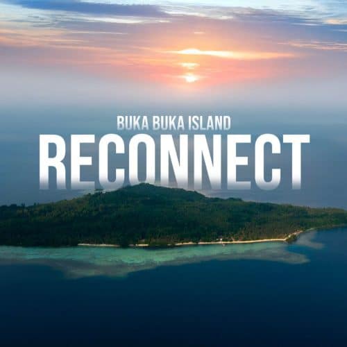 Reconnect - Private Island