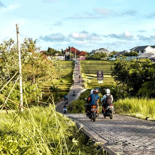 The famous Canggu shortcut, where locals and visitors weave through the rice fields on their daily ride.