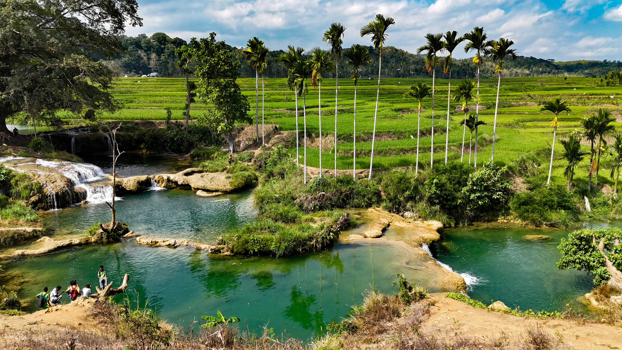 Traditional rice fields and natural pools in Sumba, Indonesia – a symbol of the island’s untouched nature and sustainable development.